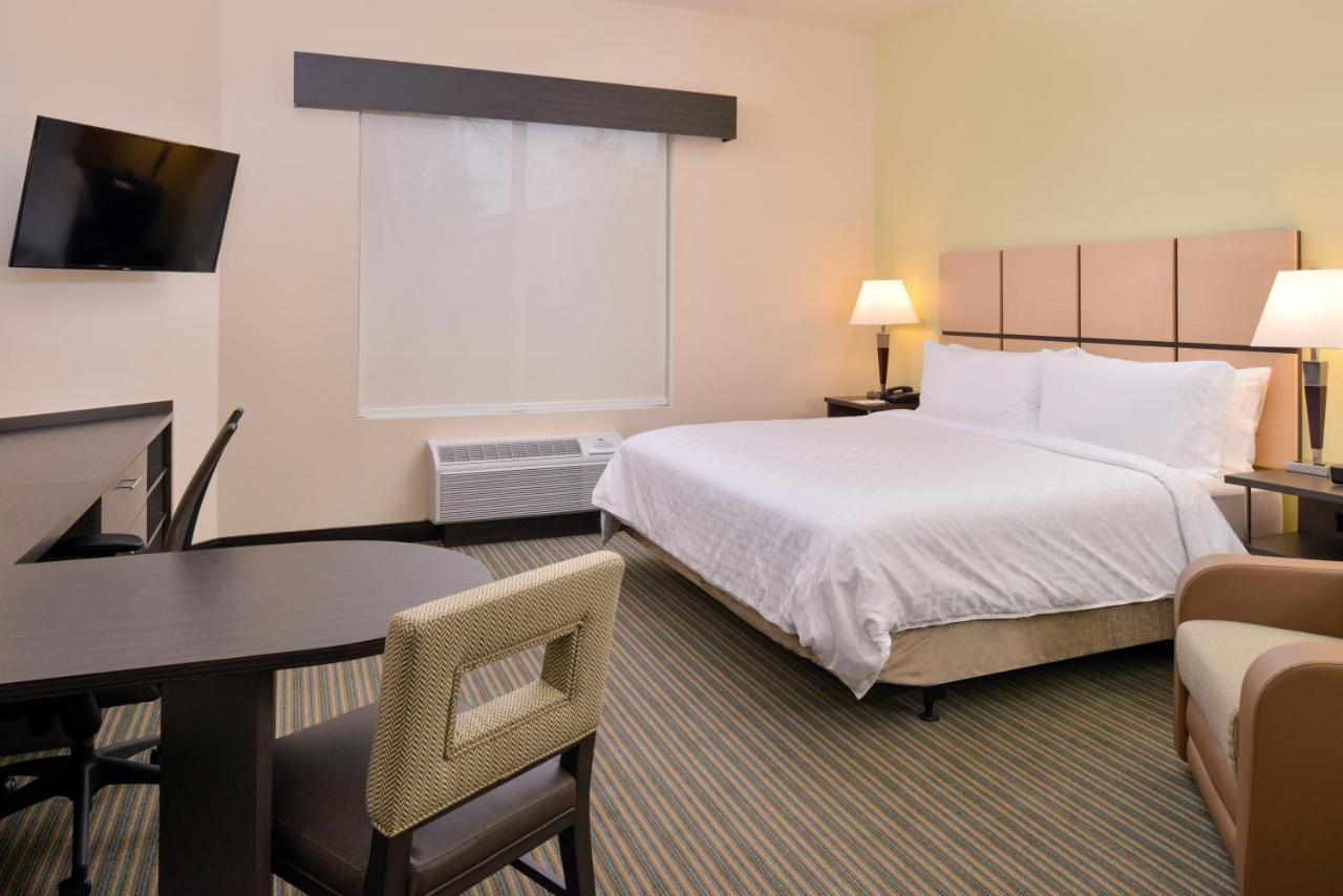 King Studio Suite
